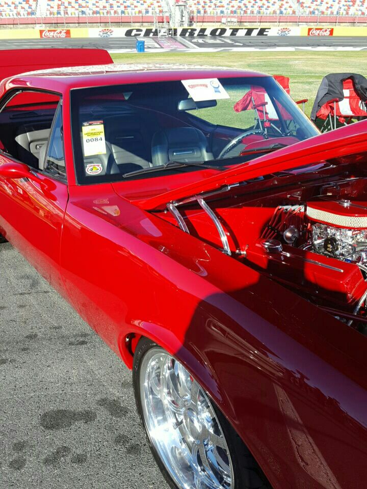 Kookiecreature banner