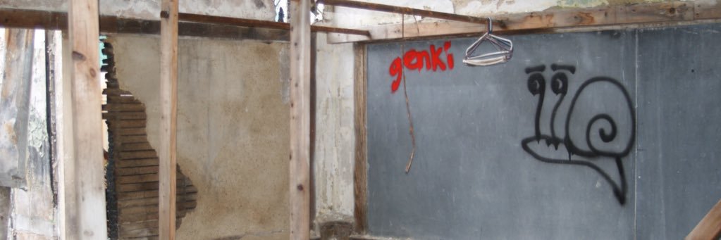 Carrie Lindsay banner