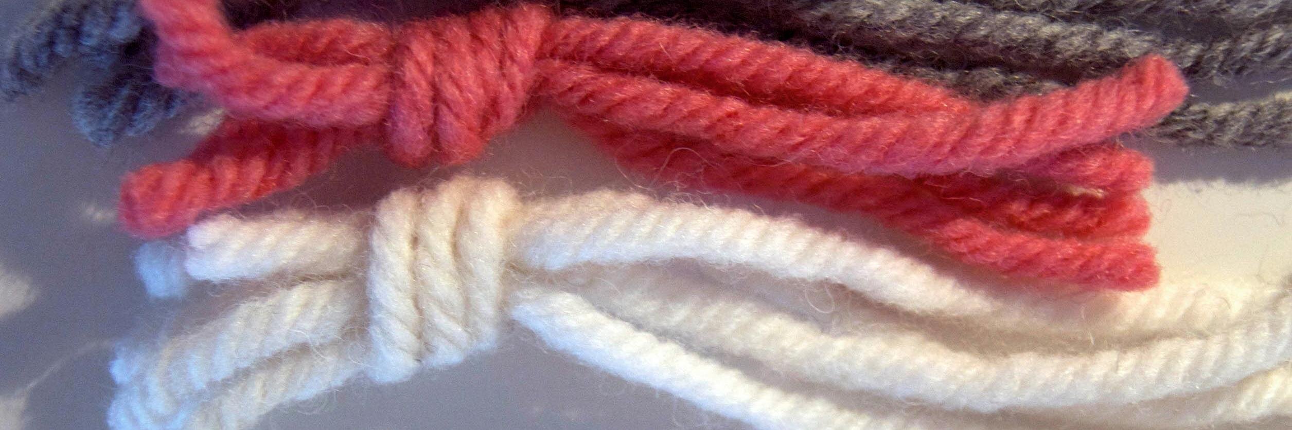 lilly_lab's profile banner image