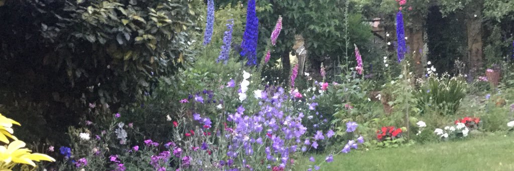 Fiona Ross CBE banner