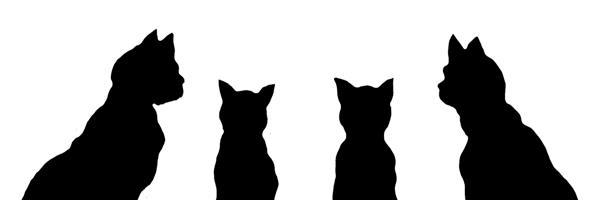 Morellas_Musing's profile banner image