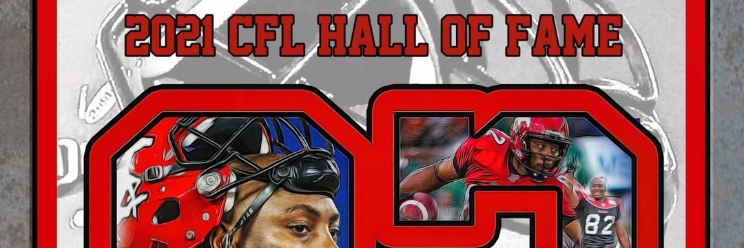 Nik Lewis (🐝, 🐝) 1126's banner