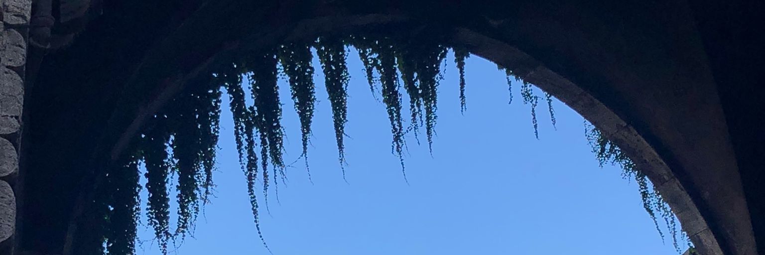 ppalomerah's profile banner image