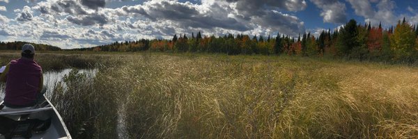 marthamgerig Profile Banner