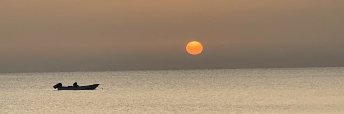 Dr. Ismaeil Alkhouri banner