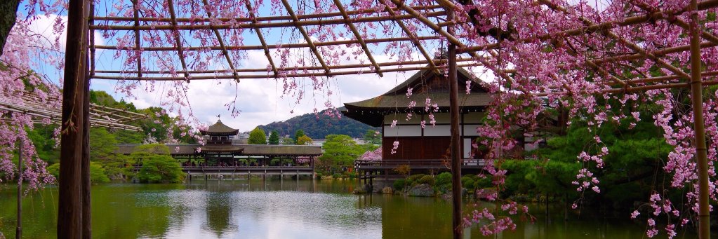 JapanTravel_Fr's profile banner image