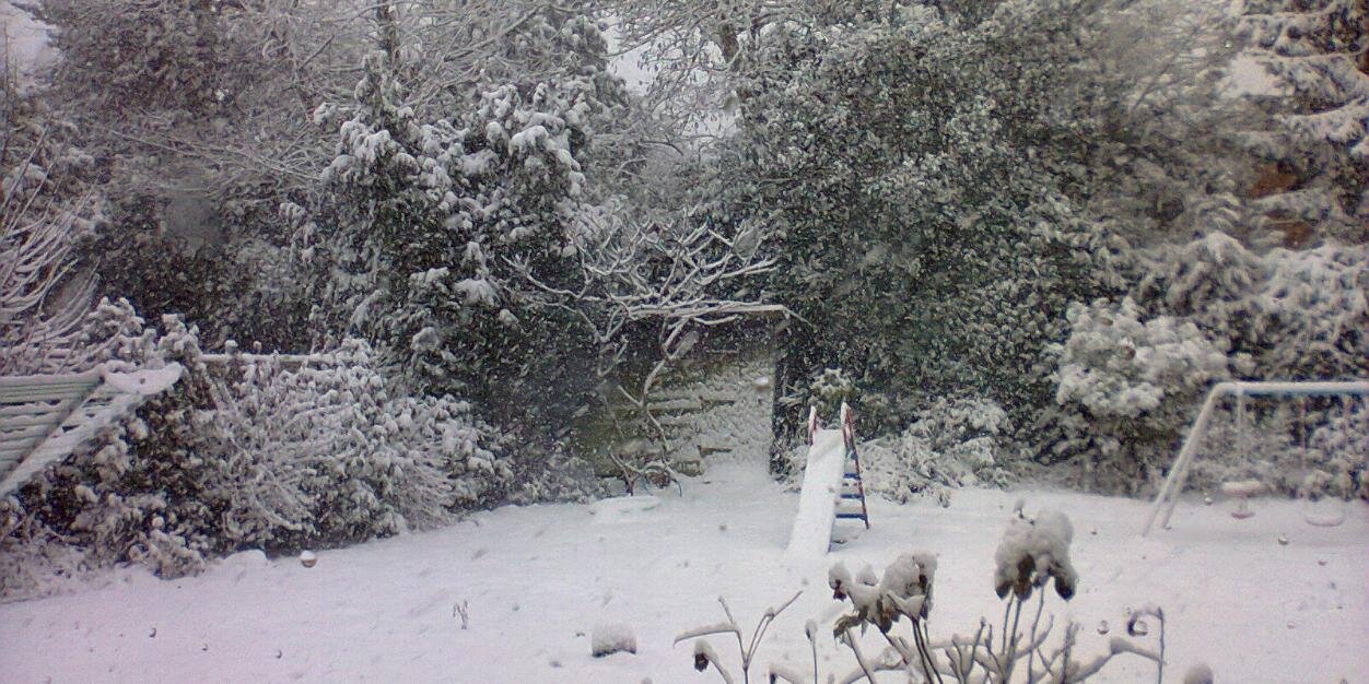 Esther Taylor banner