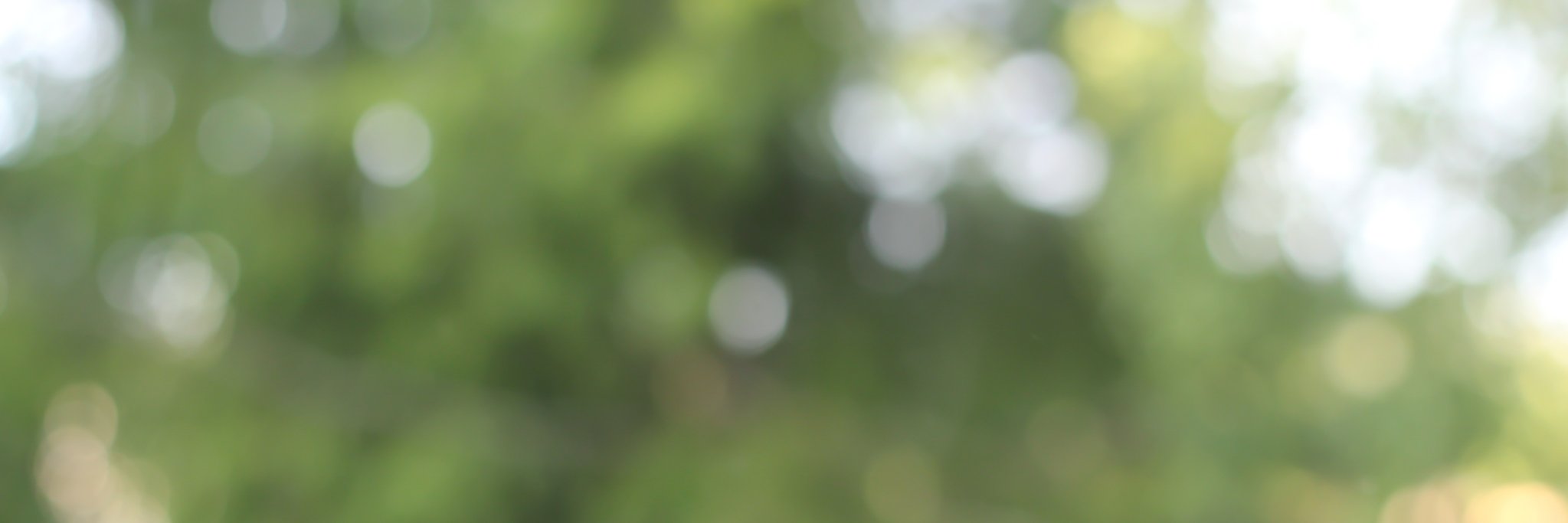 BioViewsHPS's profile banner image