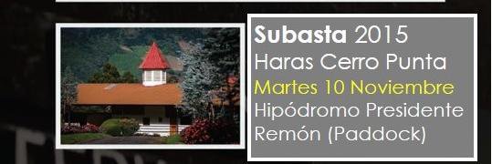 Haras Cerro Punta banner