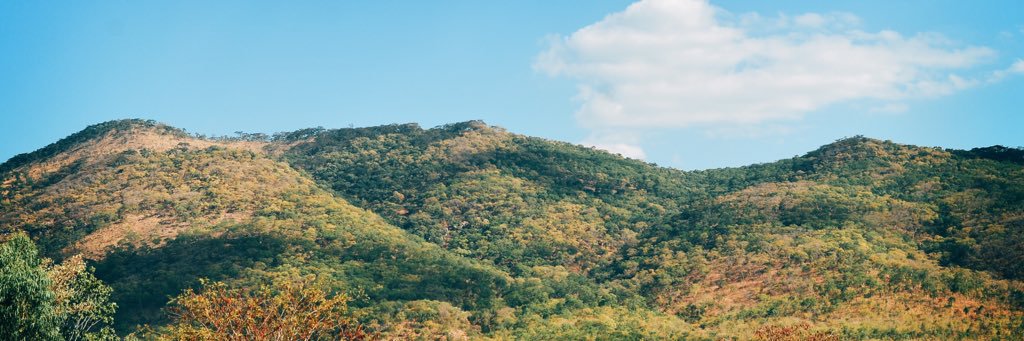 _AnnaKat_'s profile banner image