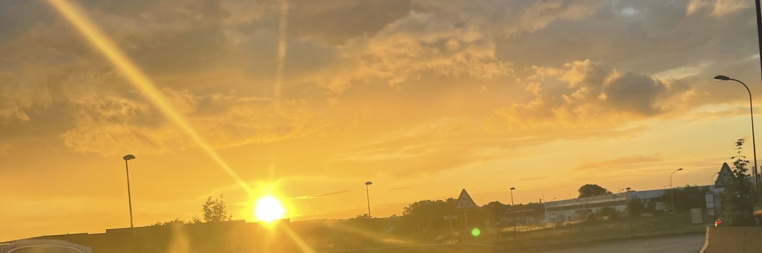 alisse95's profile banner image