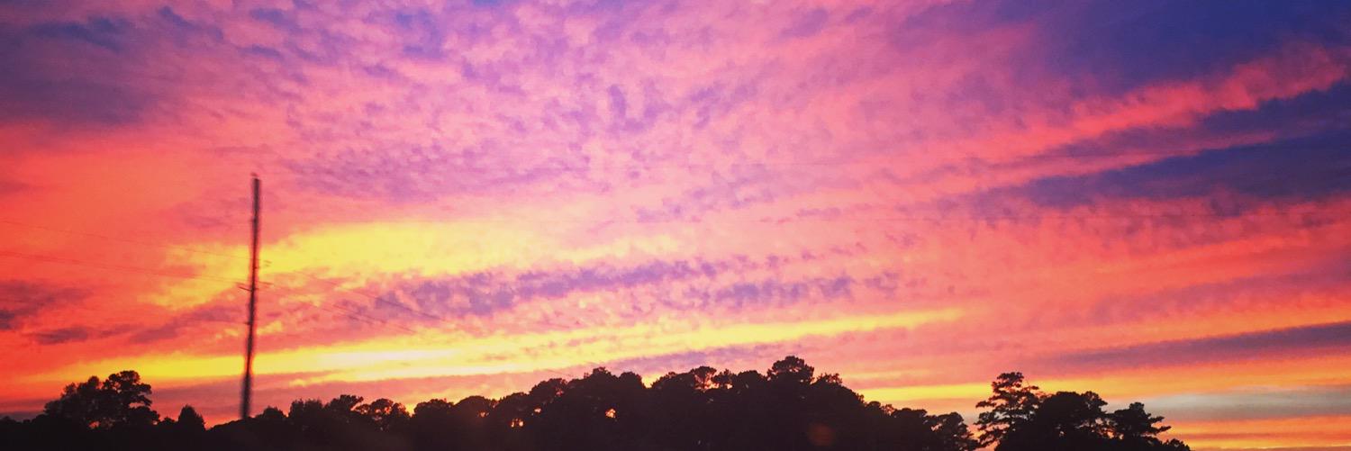 MichelleL_X0's profile banner image