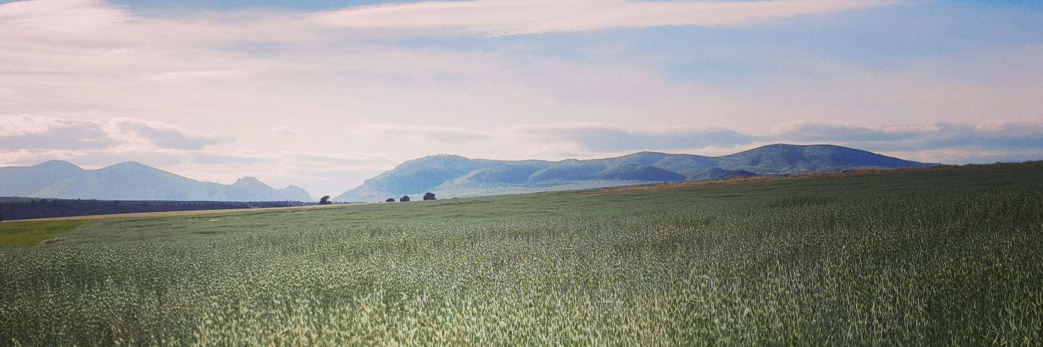 frank1913's profile banner image