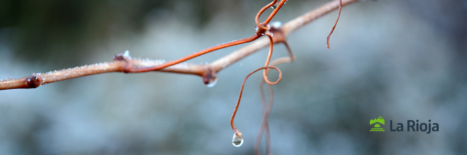 Cuaderno de campo banner