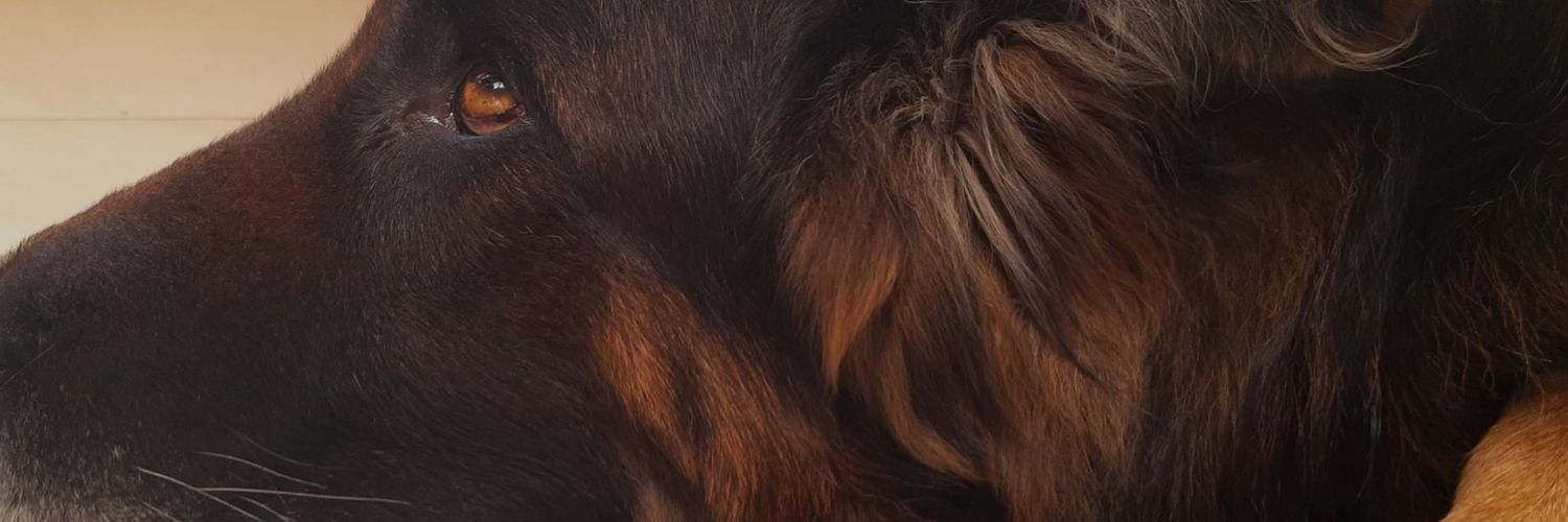 NatiiiLuque's profile banner image