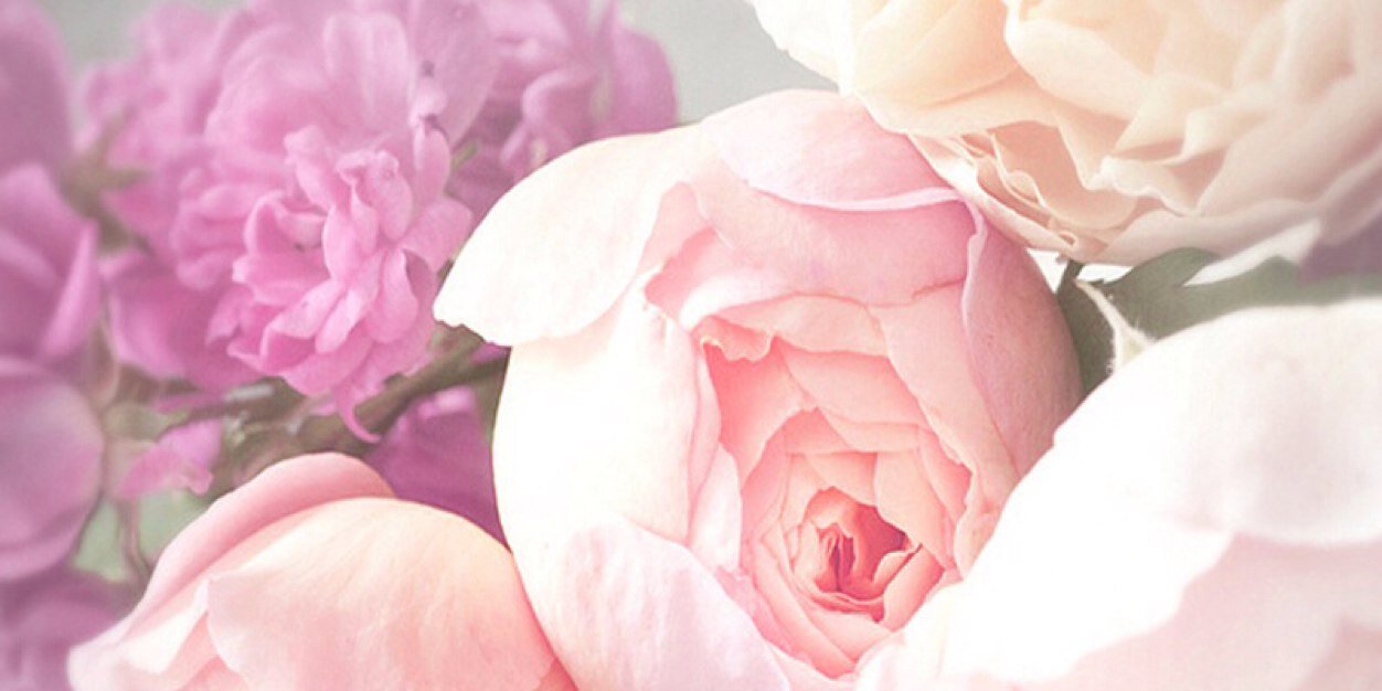 bnfsguh's profile banner image