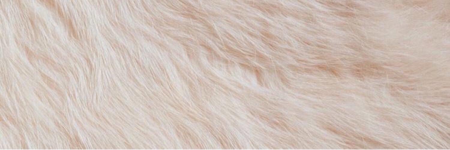 FEMMEFATALEO's profile banner image
