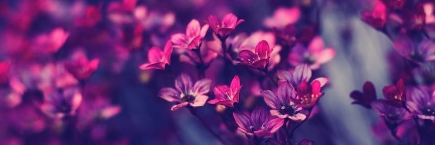 africanqueen184's profile banner image