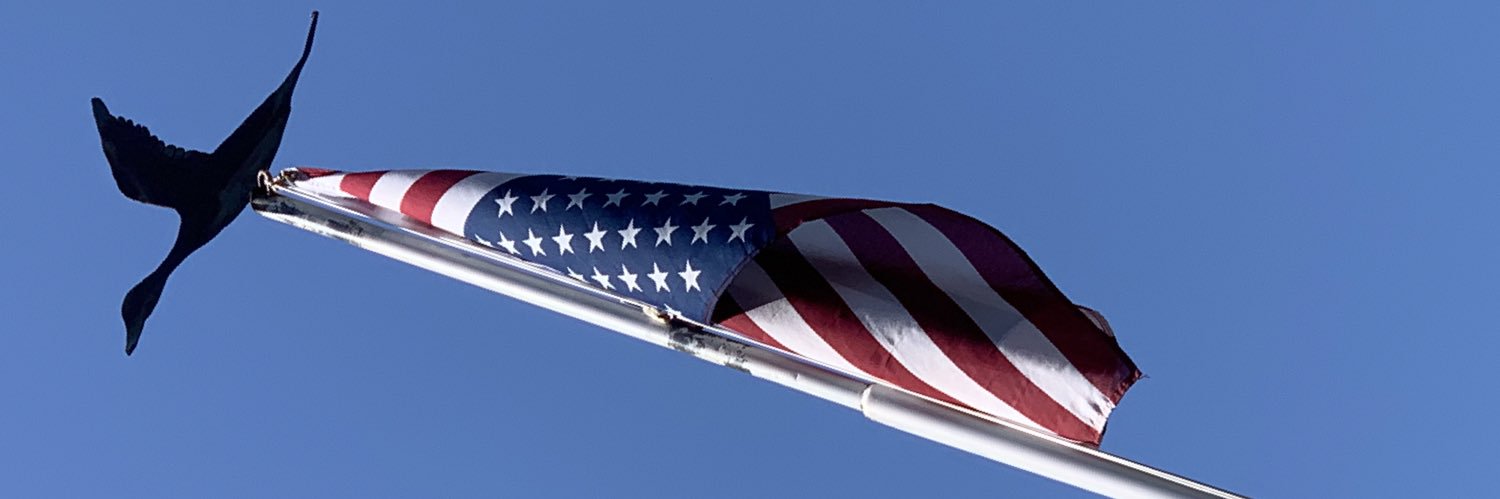 MDamratowski's profile banner image