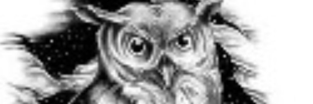 LaDonnaPowell68's profile banner image