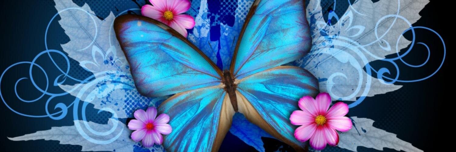 Jennifer Maxwell banner