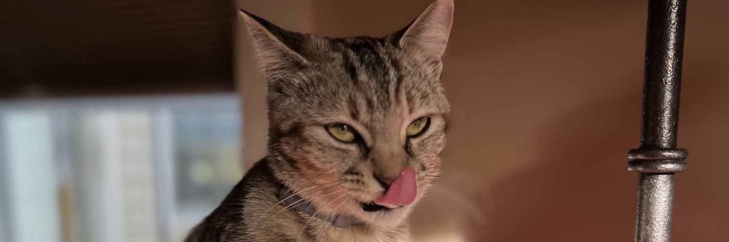 aageebs's profile banner image