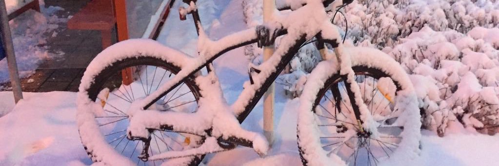 Monique 🏔⛷ banner