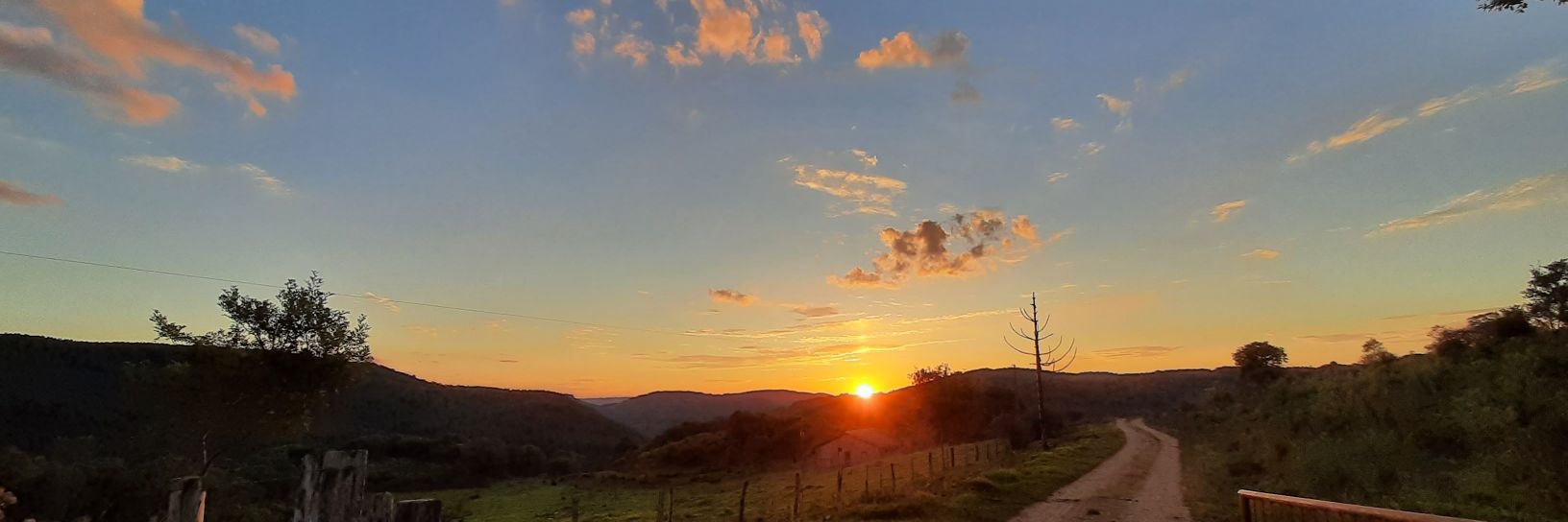 evellenrnunes's profile banner image