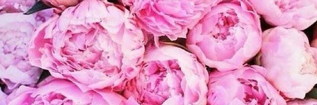 frida_nathy's profile banner image