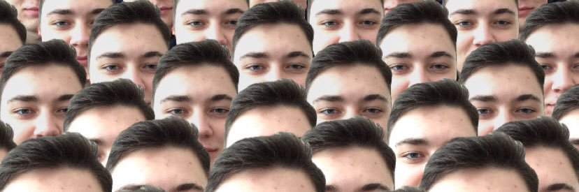 dmtlevin's profile banner image