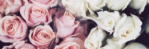 Pauveltri's profile banner image
