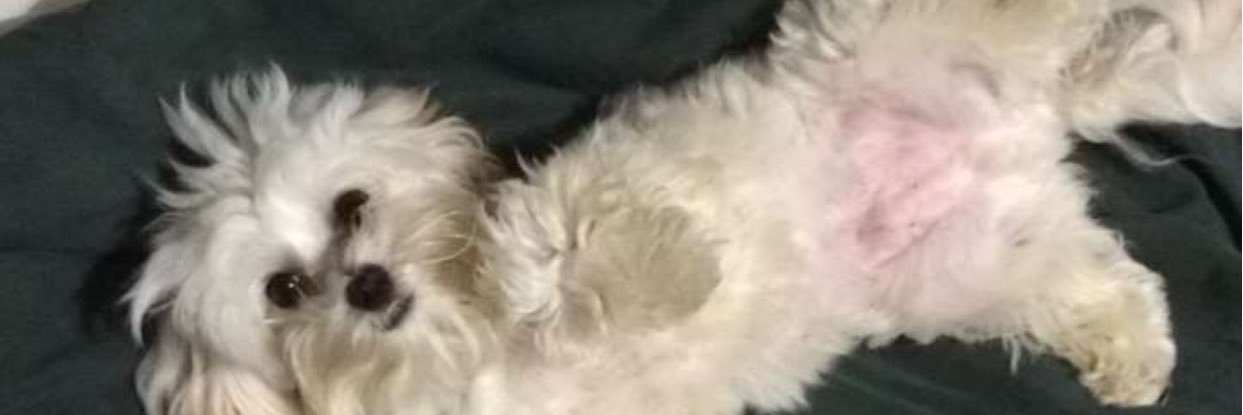 BaileyTouchette's profile banner image