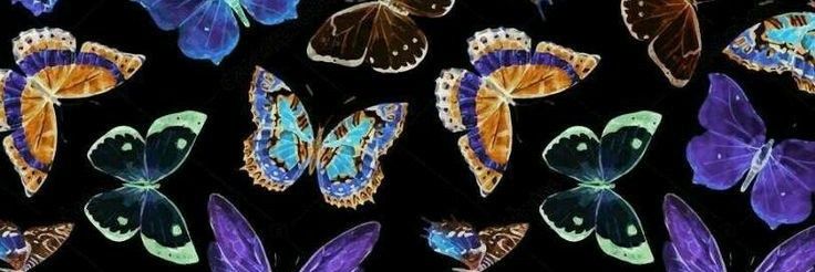 EllieBVB_97's profile banner image