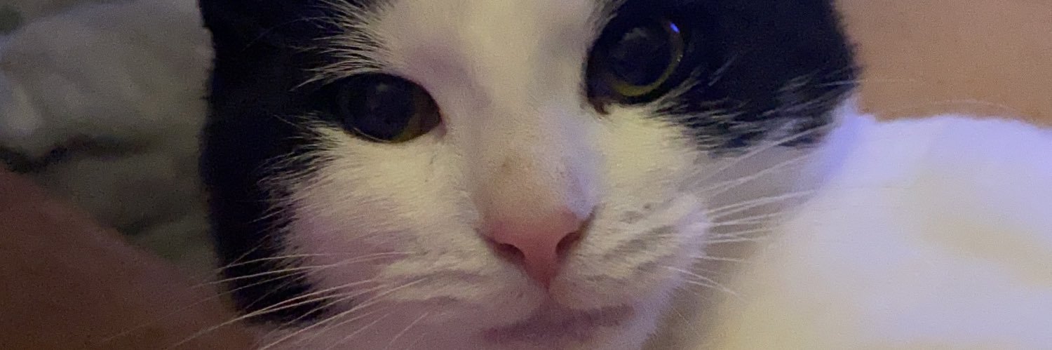 PierceTacoVeil's profile banner image