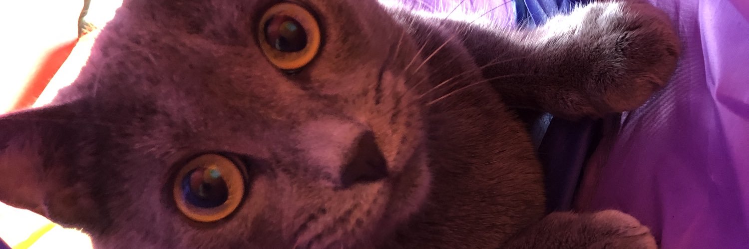 casthebitch1's profile banner image