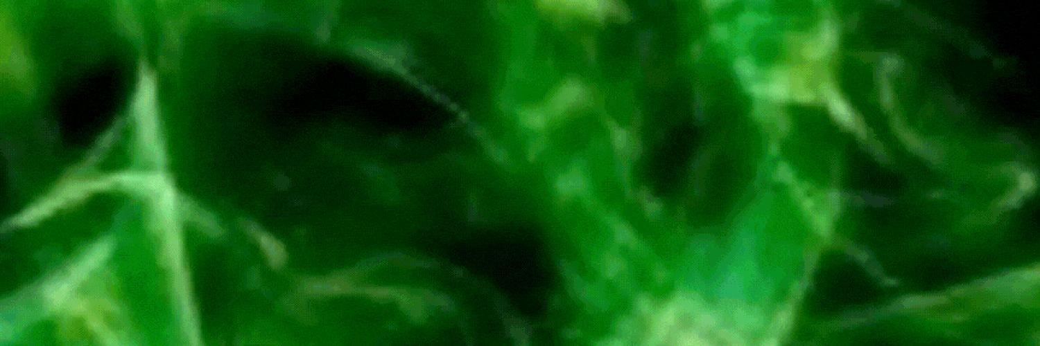 CowabungaDeetz's profile banner image