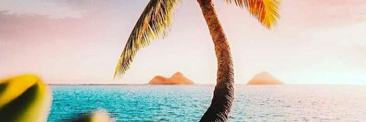 AldomrpcP's profile banner image