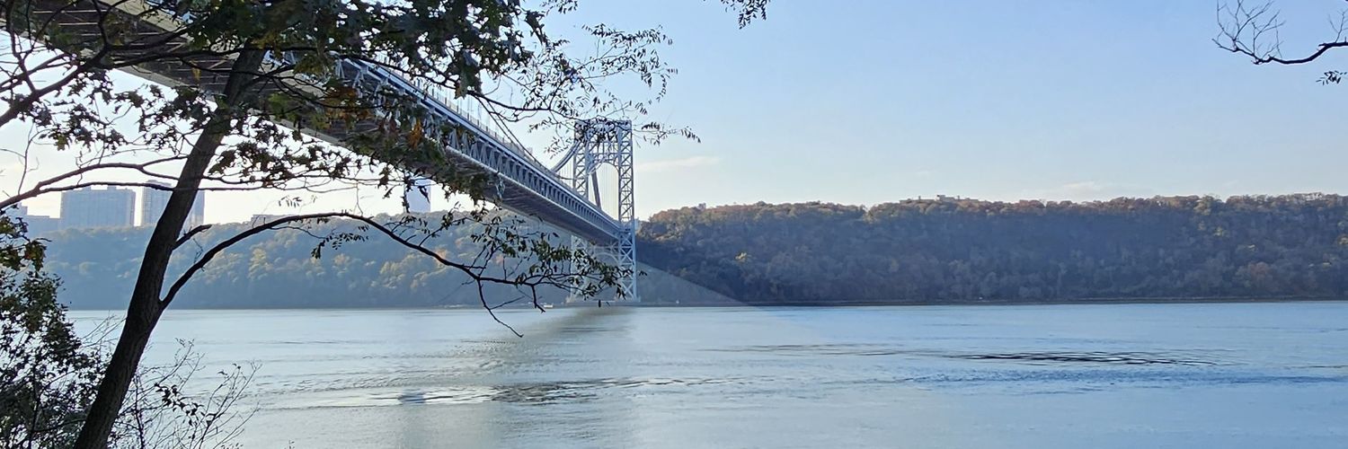 NYersSpeak&Vote banner