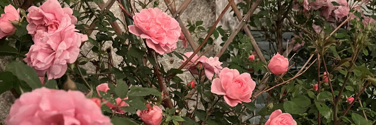 claydelrey's profile banner image
