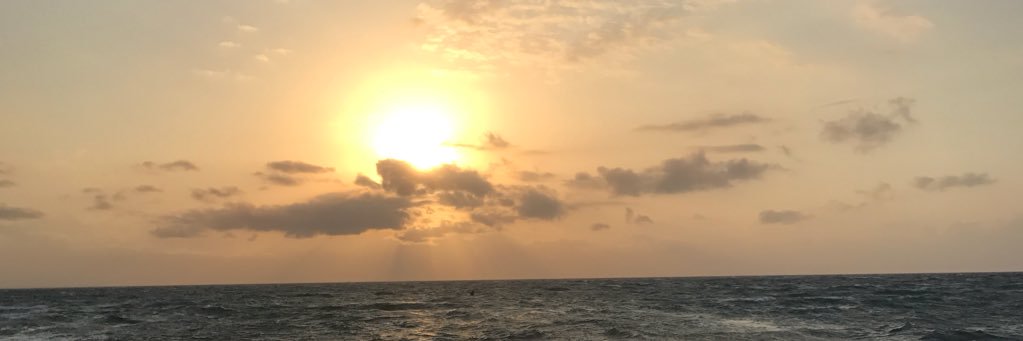 D banner