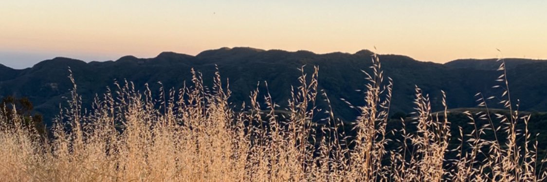 Stephanie Titus banner