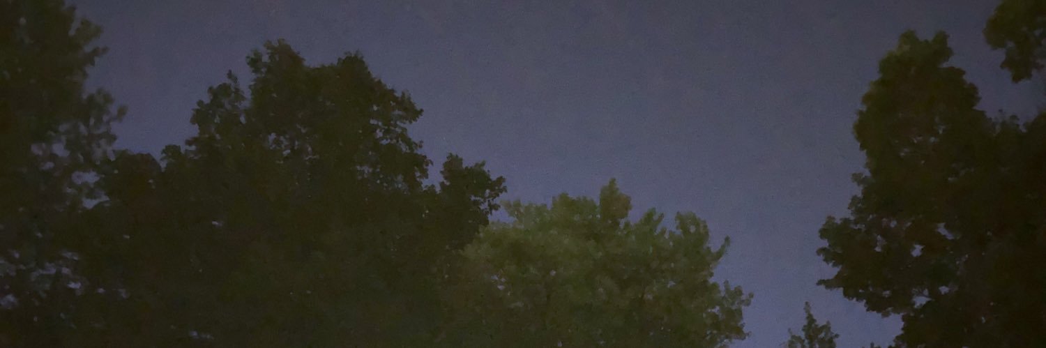 captainbingrips's profile banner image