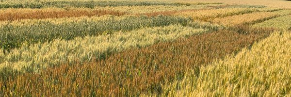 AGRI_OBTENTIONS Profile Banner