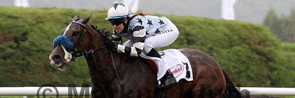 AndreaDMayer1's profile banner image