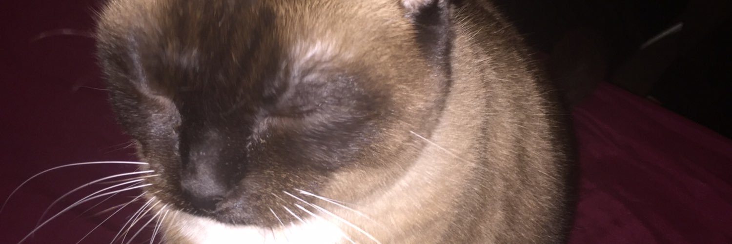 LHappyHour's profile banner image