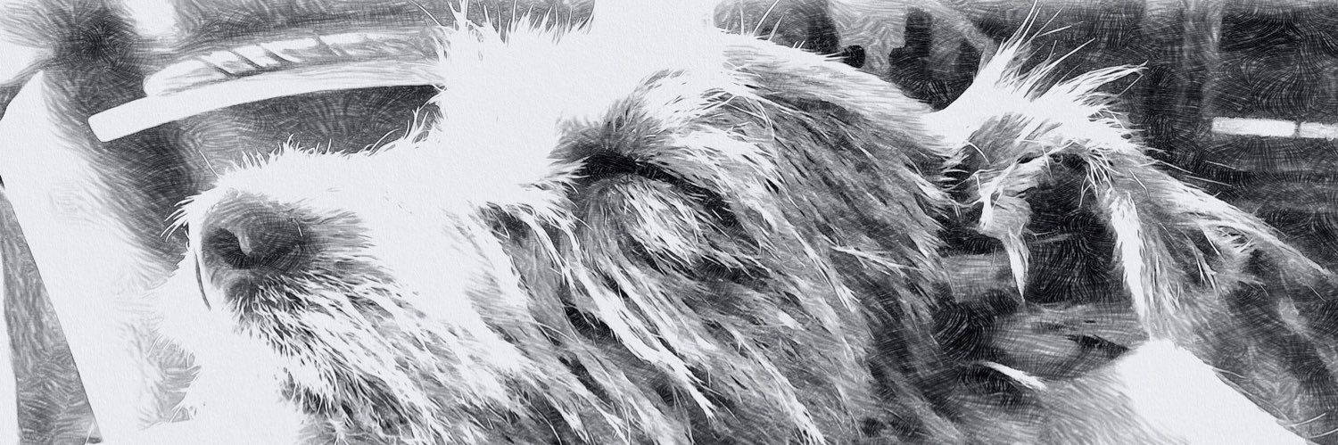 Felicity Reynolds banner