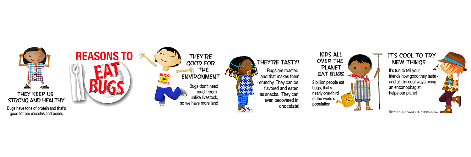 Bug_Education's profile banner image