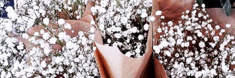 OzlemDursnn's profile banner image