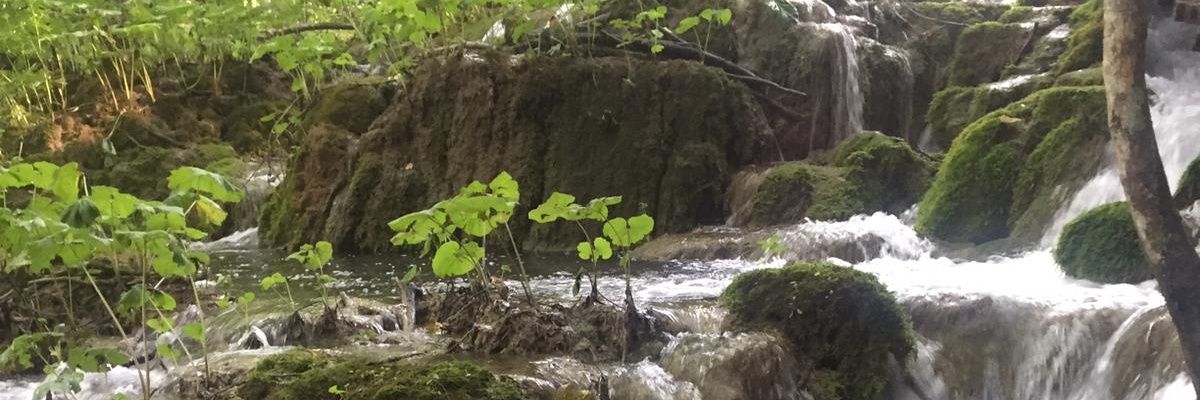 zeeeigen's profile banner image