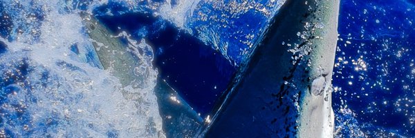 nunoqueiroz29 Profile Banner